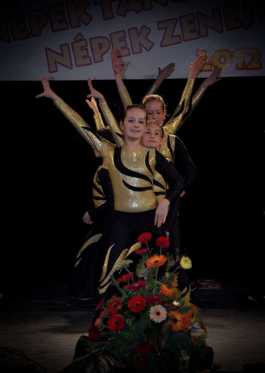 szeged_gimnasztrada_20121208_42