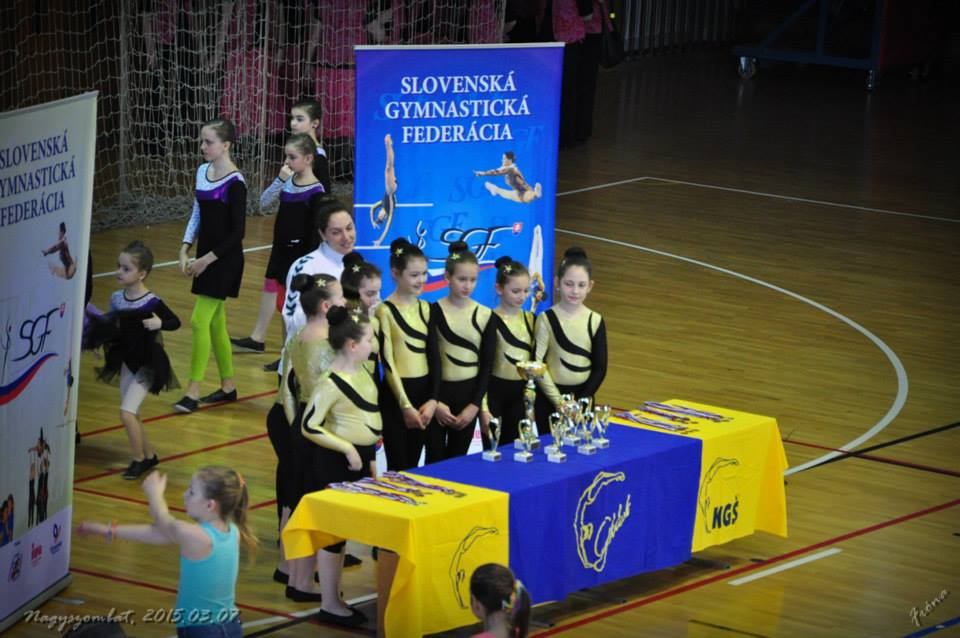 gimnasztrada_trnava2015-23