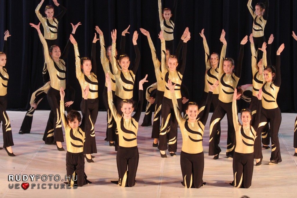 gymnaestrada (3)