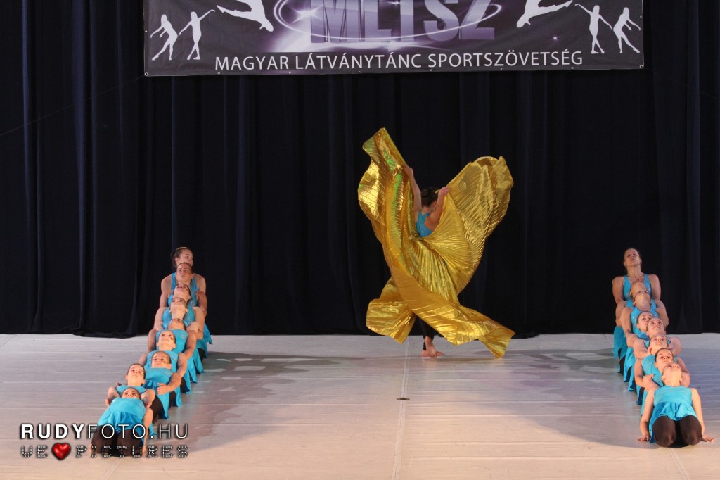 gymnaestrada (4)